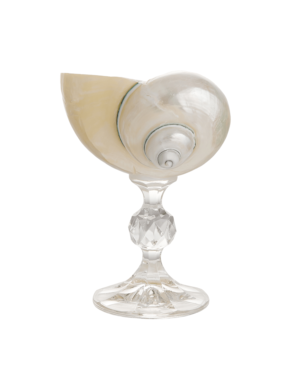Ariel Pearl Snail glass