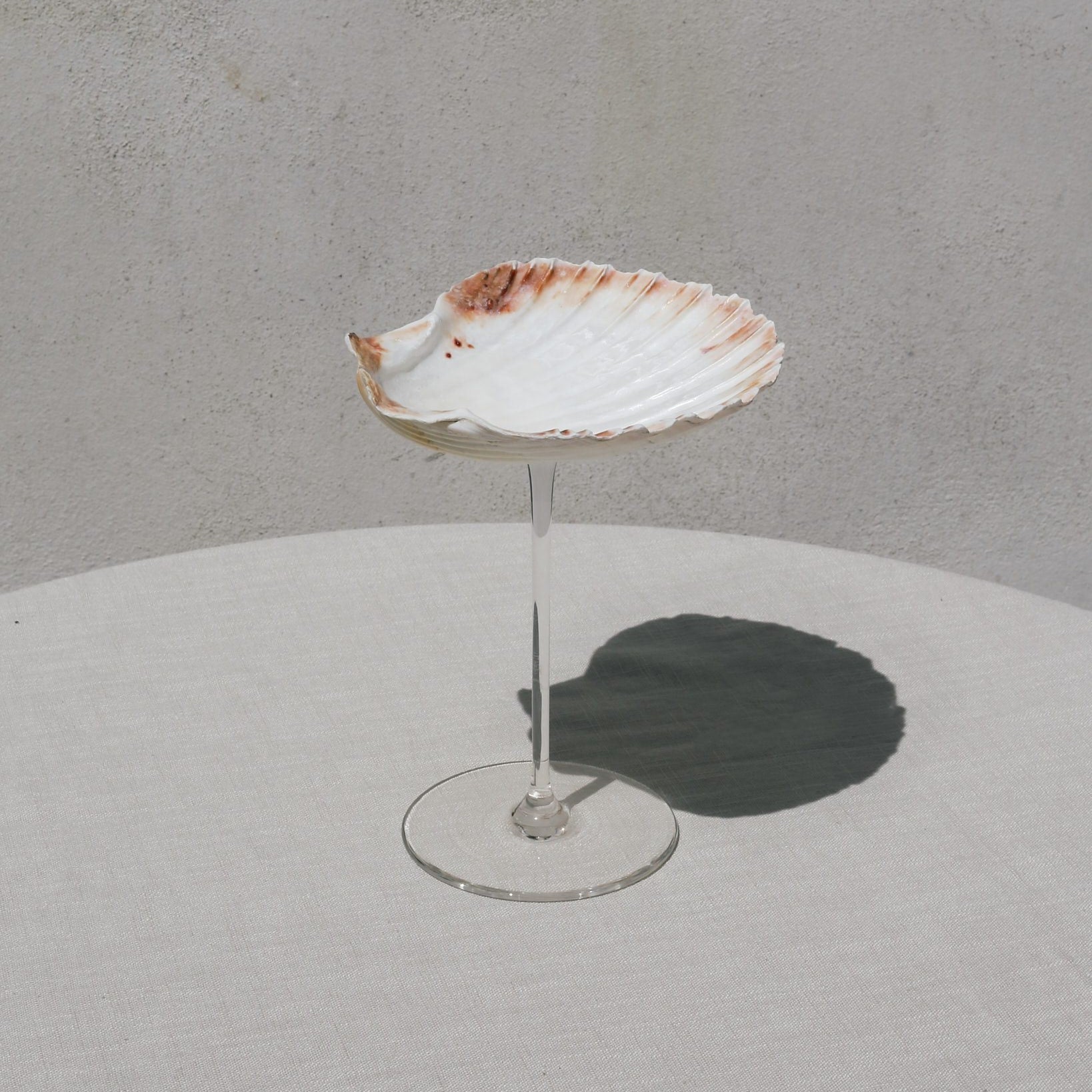 Ariel Scallop glass