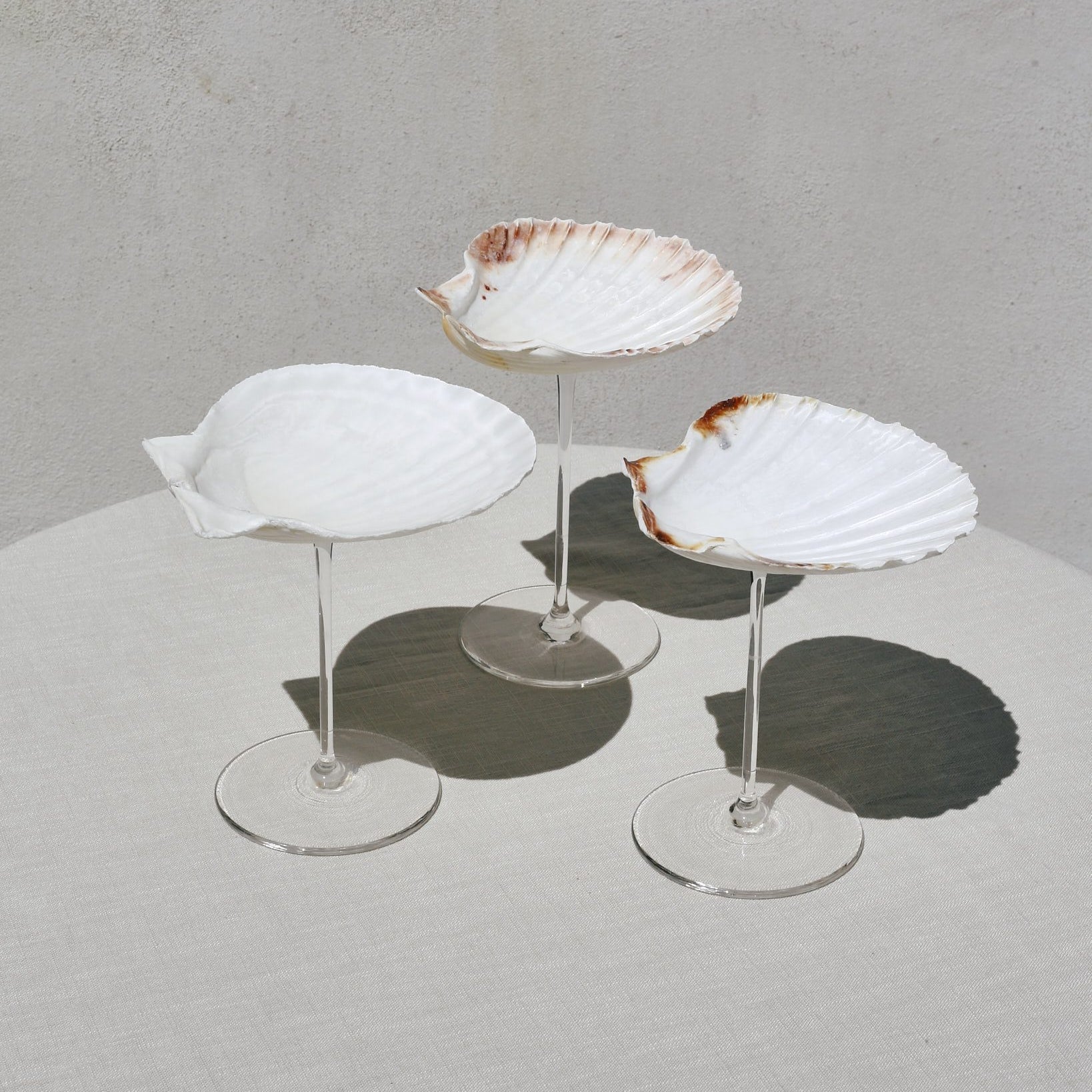 Ariel Scallop glass