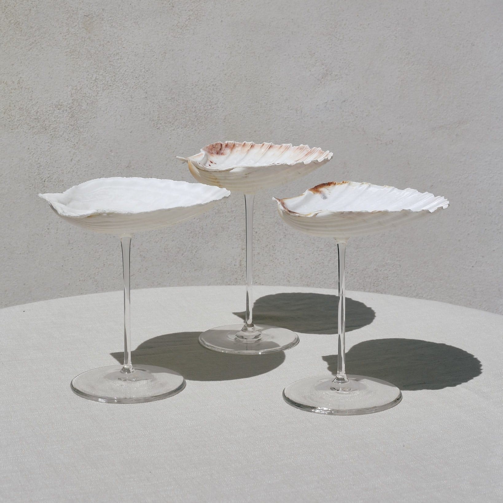 Ariel Scallop glass