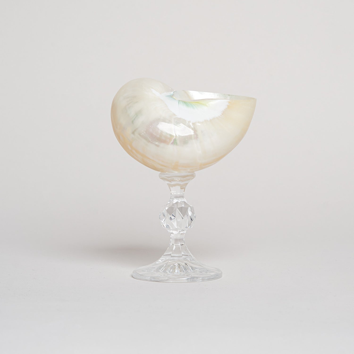 Ariel Pearl Snail glass