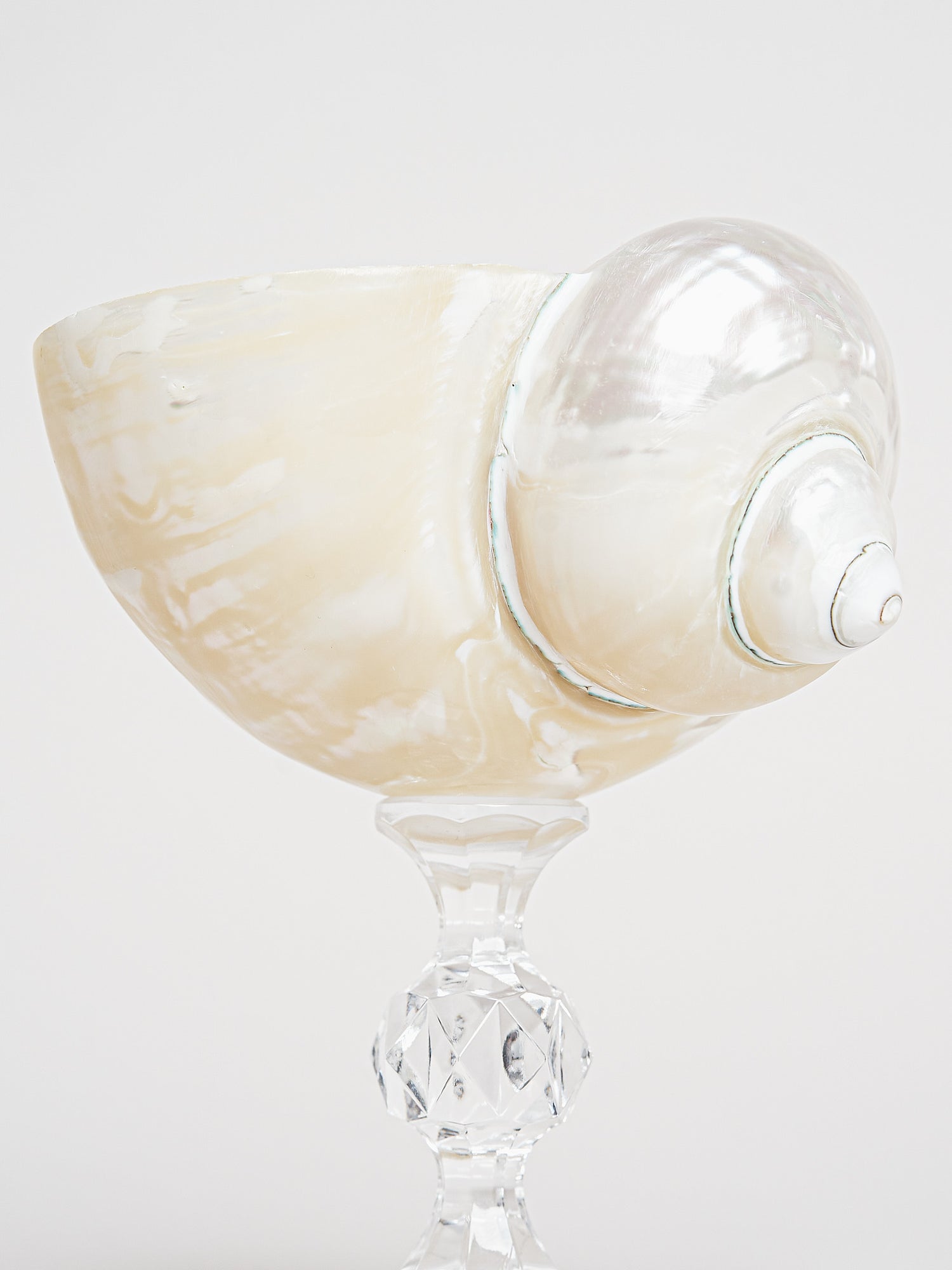 Ariel Pearl Snail glass