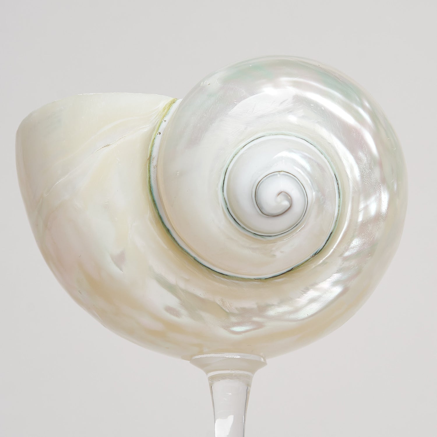 Ariel Pearl Snail glass