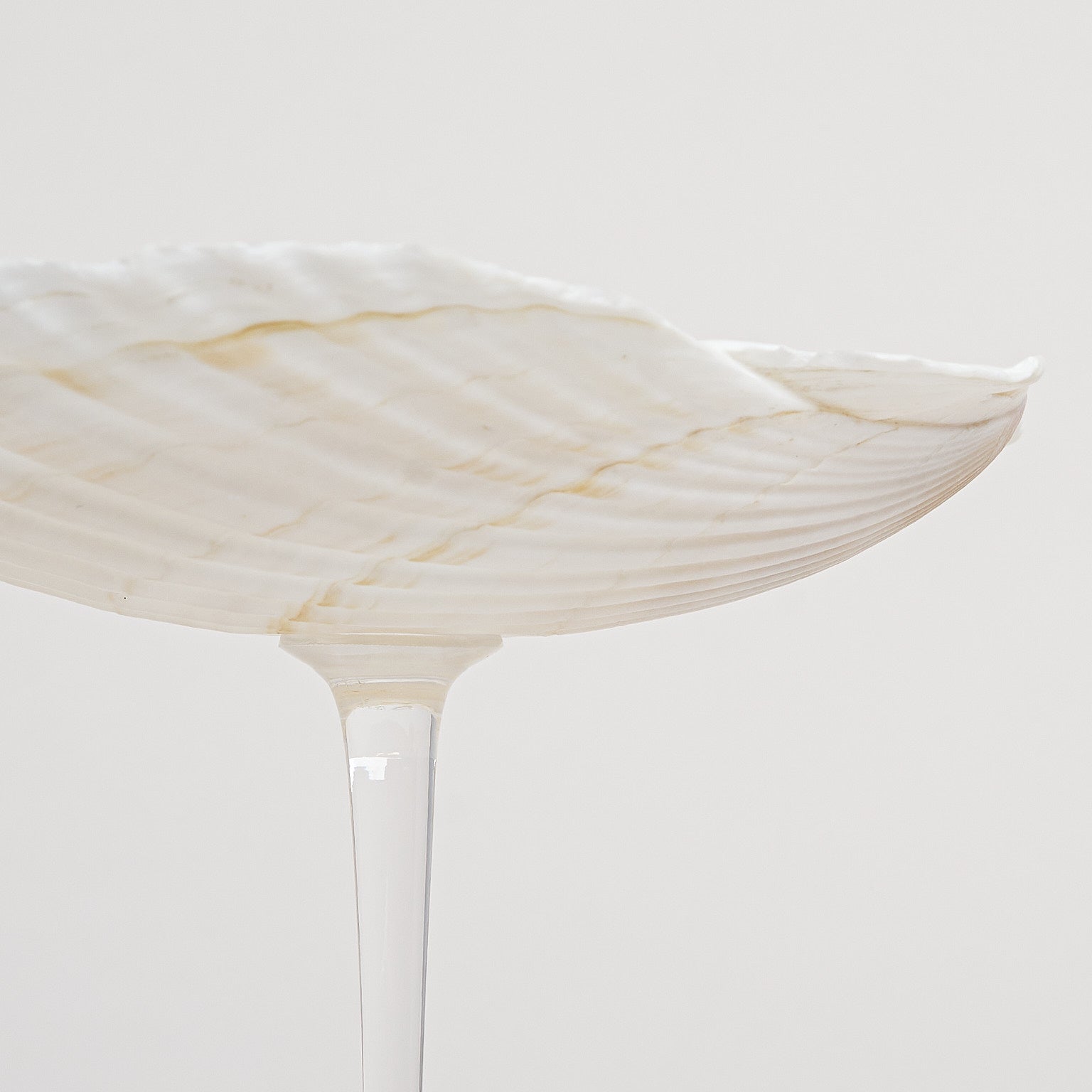 Ariel Scallop glass