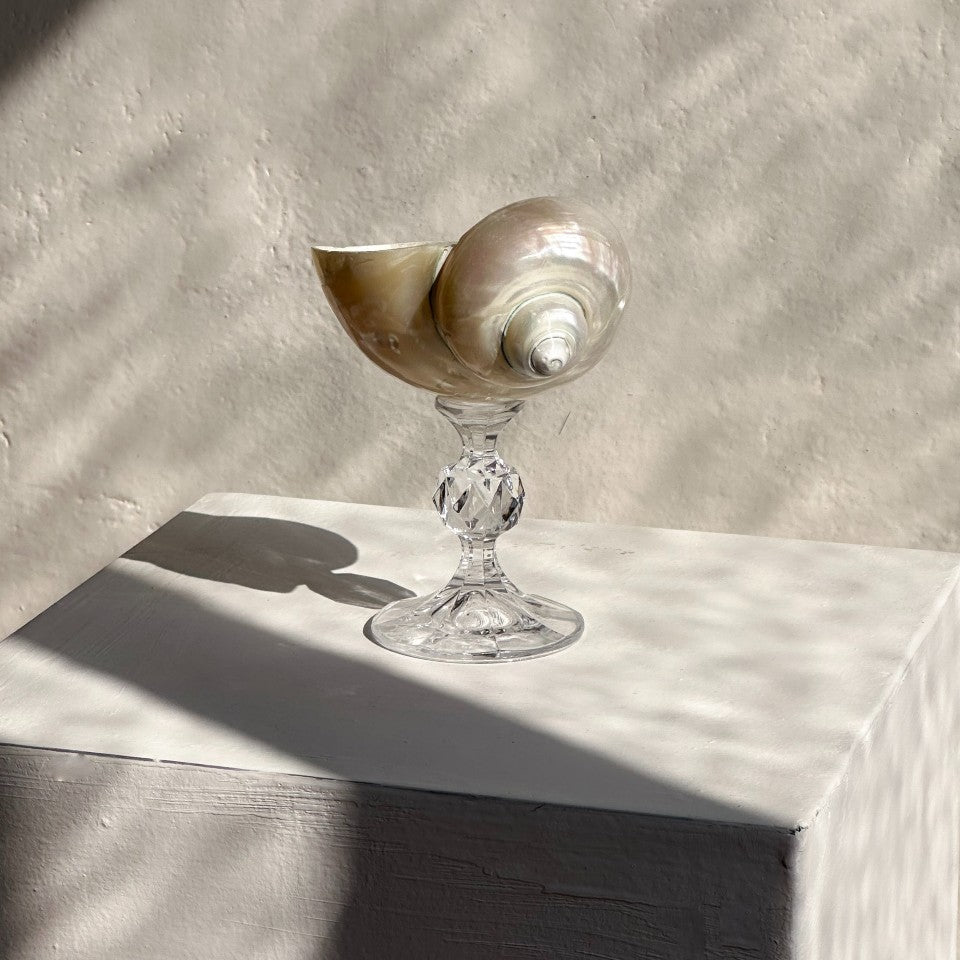 Ariel Pearl Snail glass