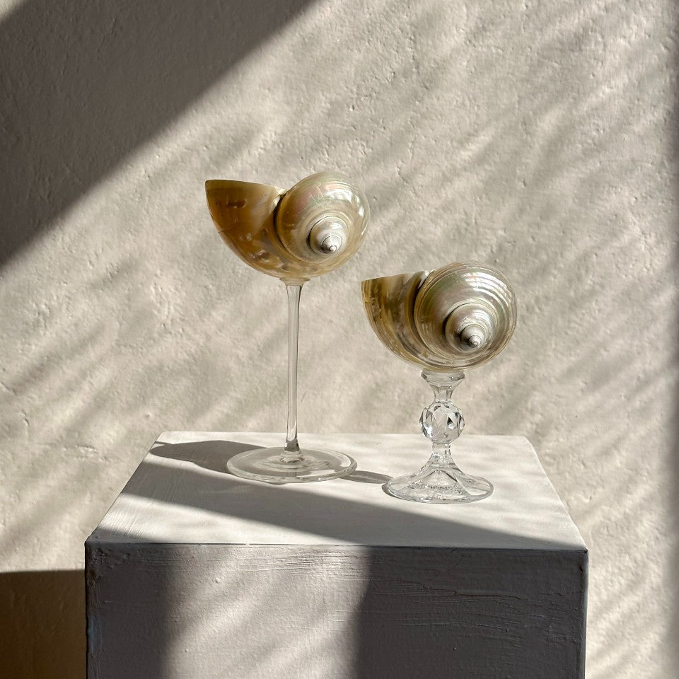 Ariel Pearl Snail glass