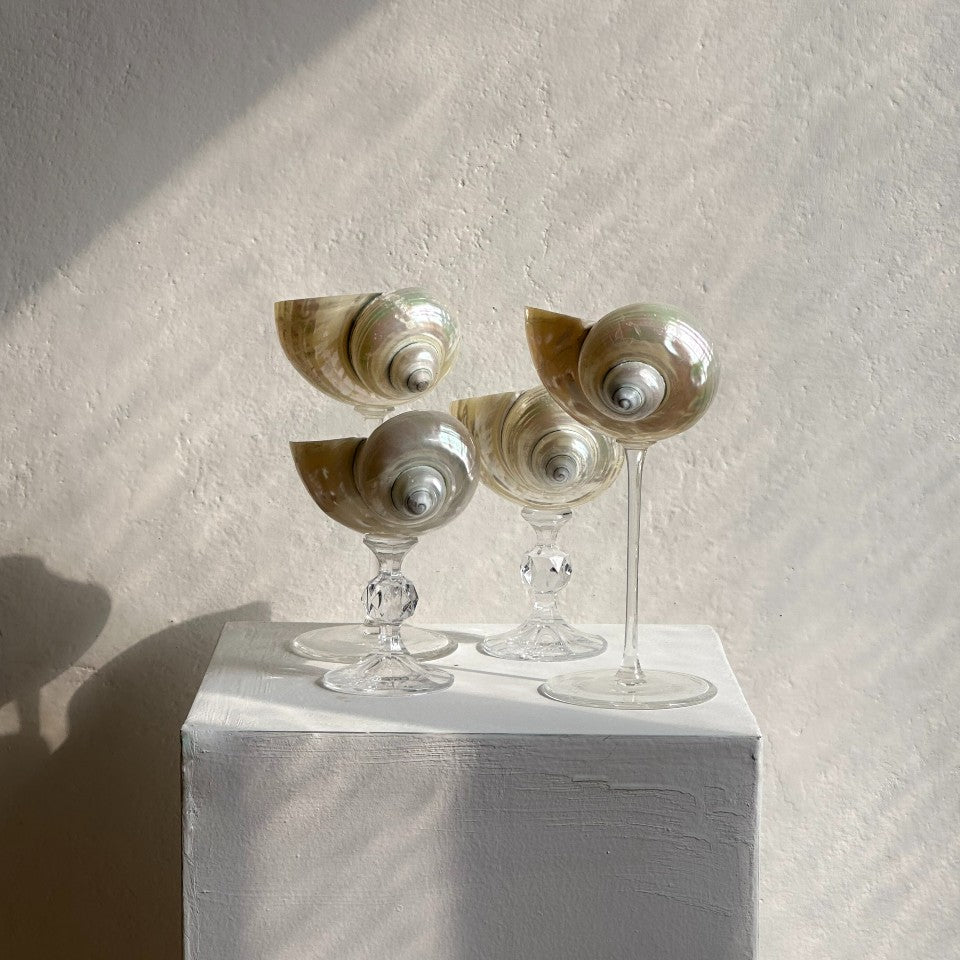 Ariel Pearl Snail glass