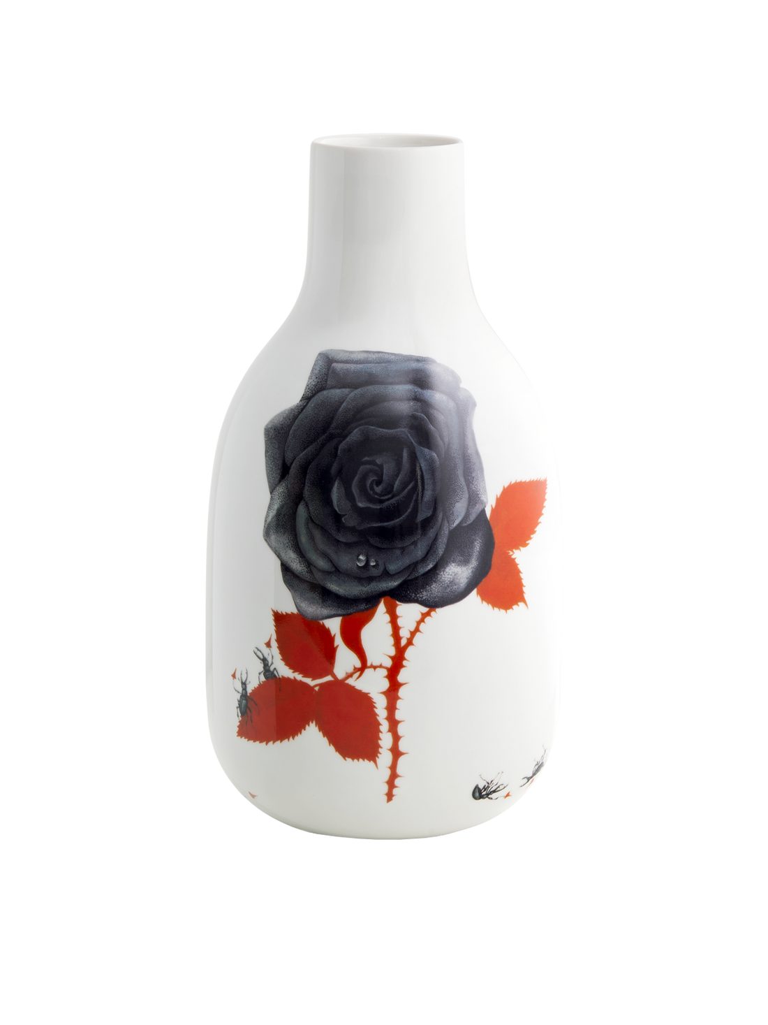 Rose vase