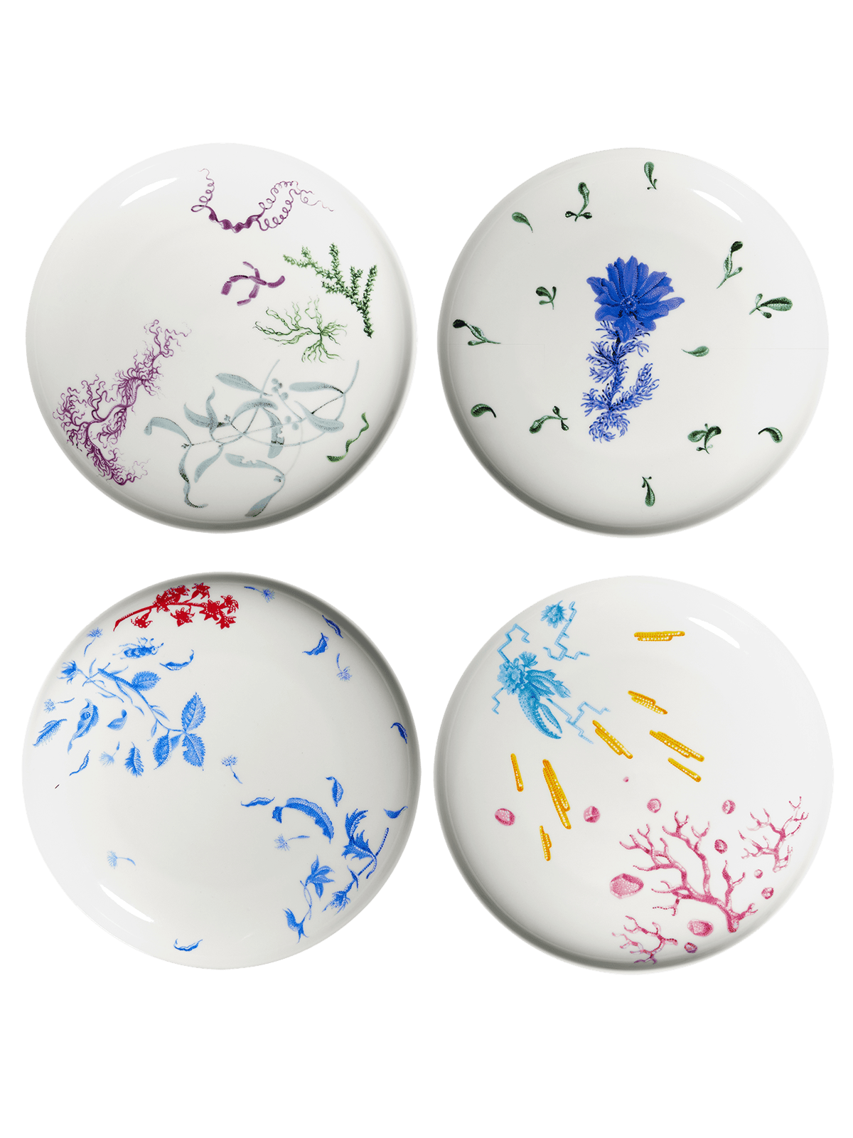 Hyakintos dessert plate