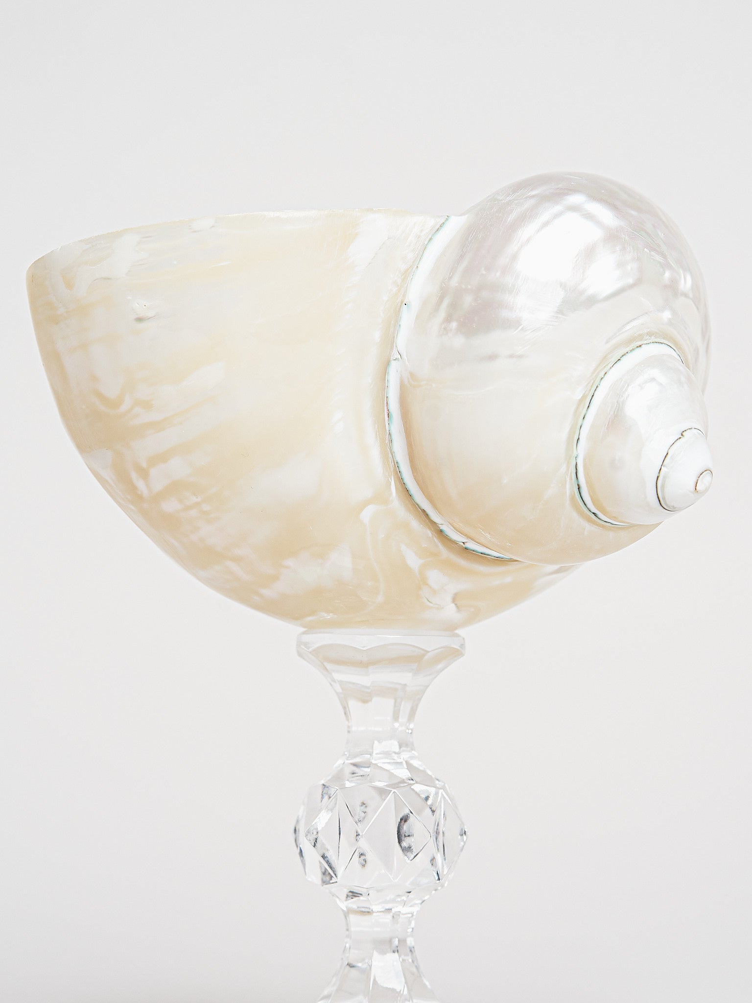 Ariel Pearl Snail Glass