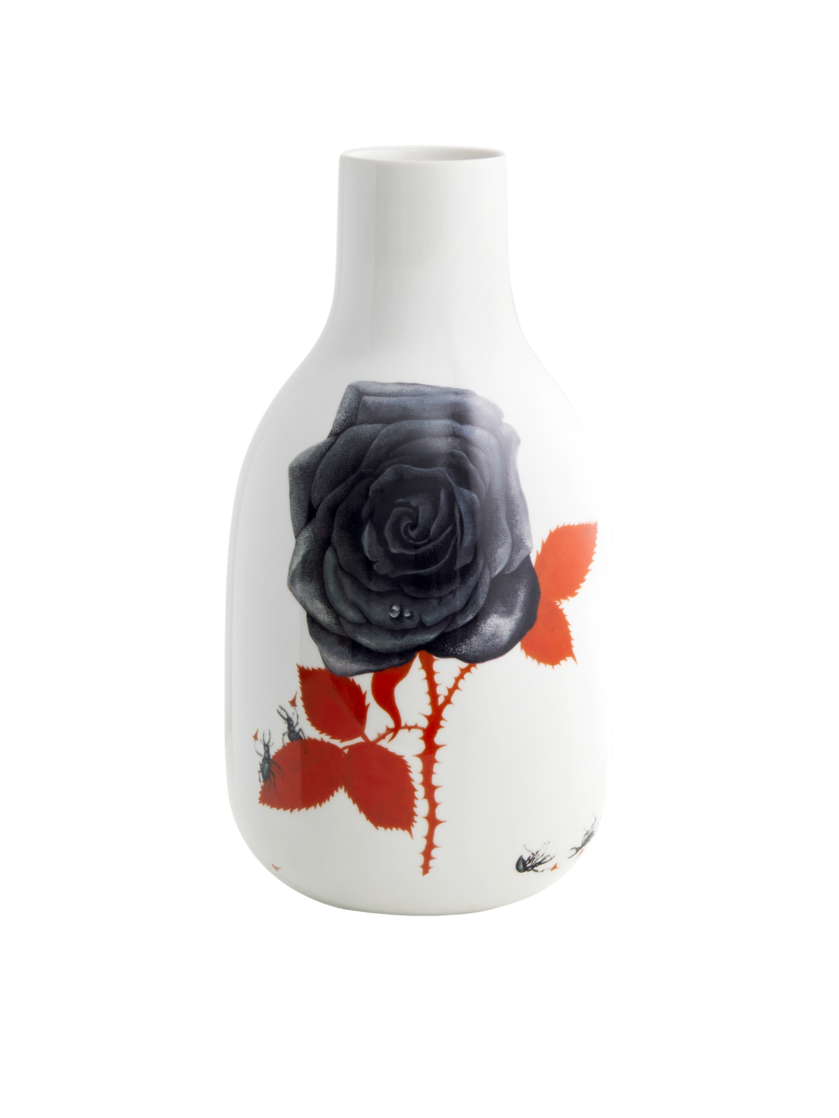 Rose vase